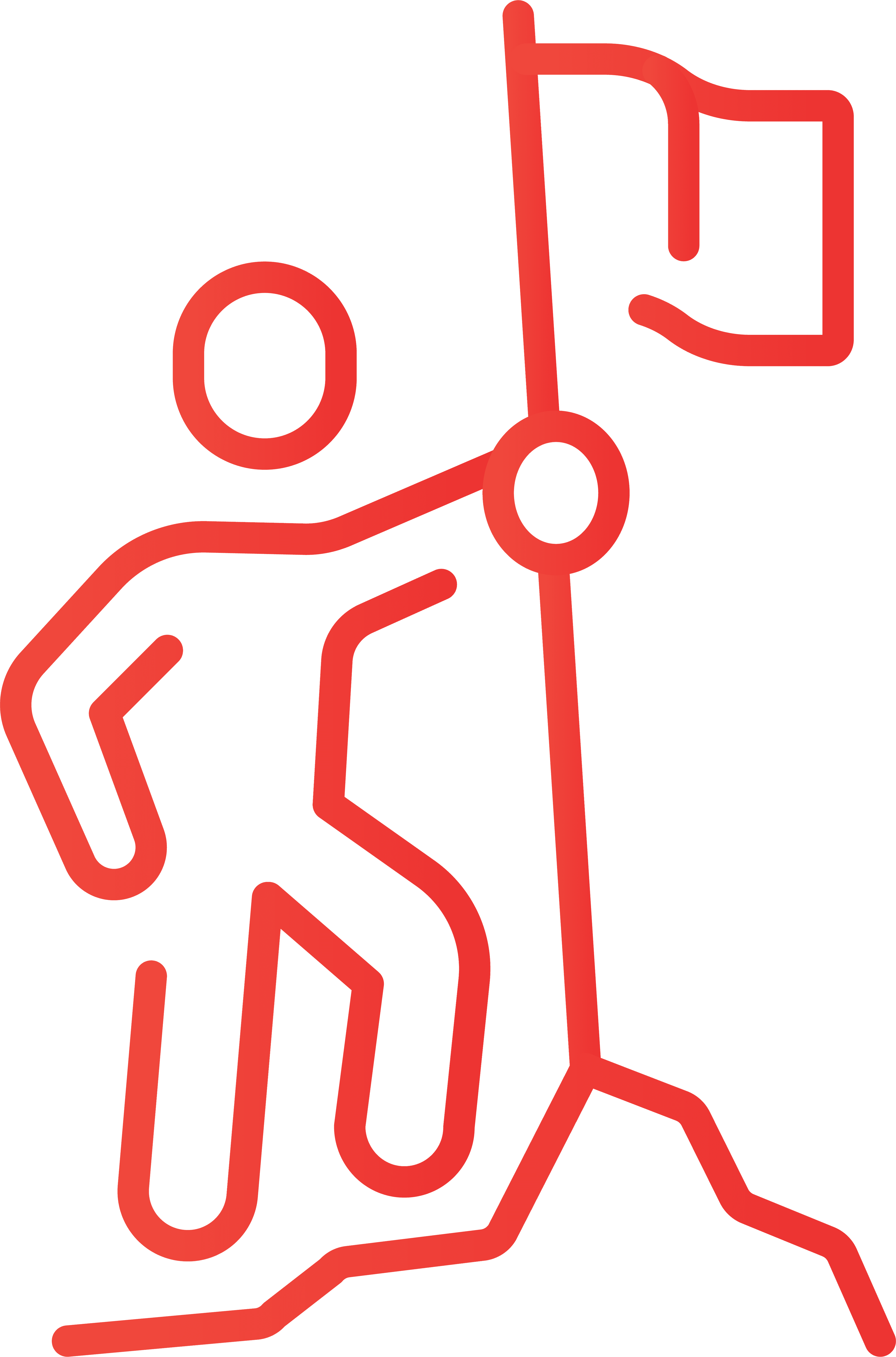 Lider Icon 3